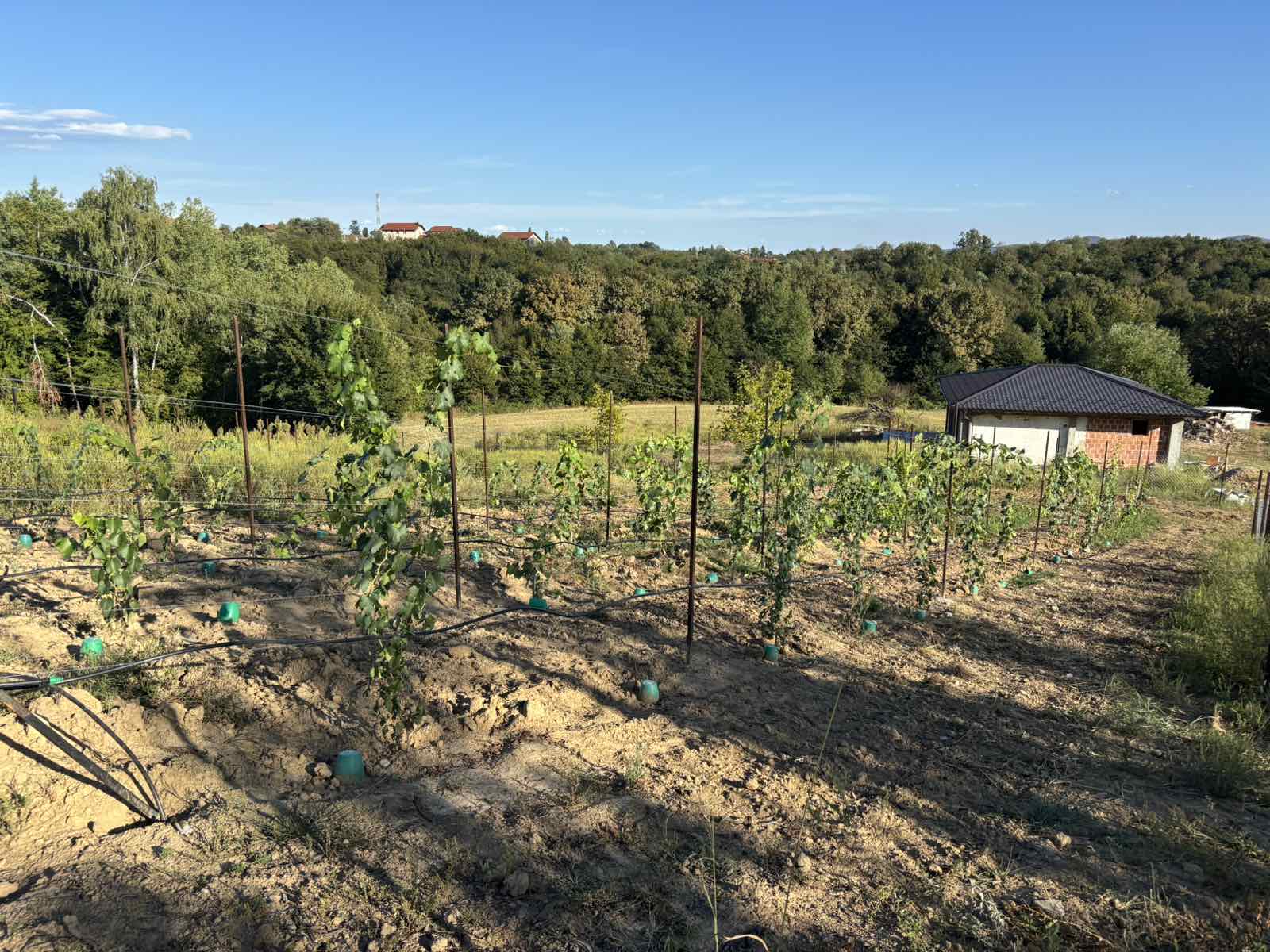 Vikendica Čardačani – Prodaja